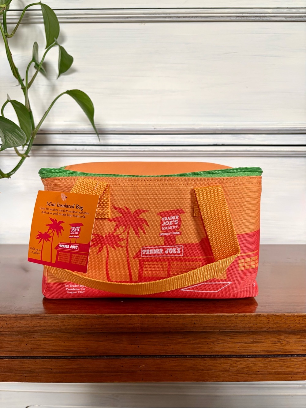 Trader Joe's Orange & Coral Mini Insulated Bag